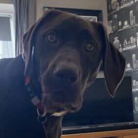 Max